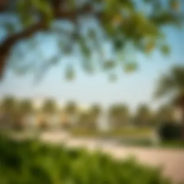 Notable A Comprehensive Exploration of Khalidiyah Park