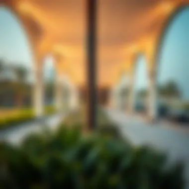 A Comprehensive Exploration of Khalidiyah Park Summary A Comprehensive Exploration of Khalidiyah Park Summary