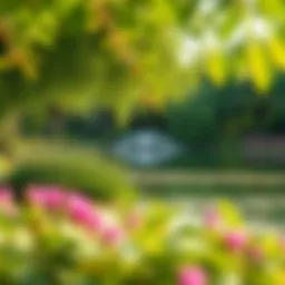 Scenic view of Al Nahda Pond Park showcasing lush greenery and serene water