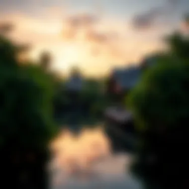 Lush natural surroundings of the resort