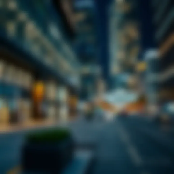 Notable City-Wide Facilities Management: Exploring the Framework for Urban Life