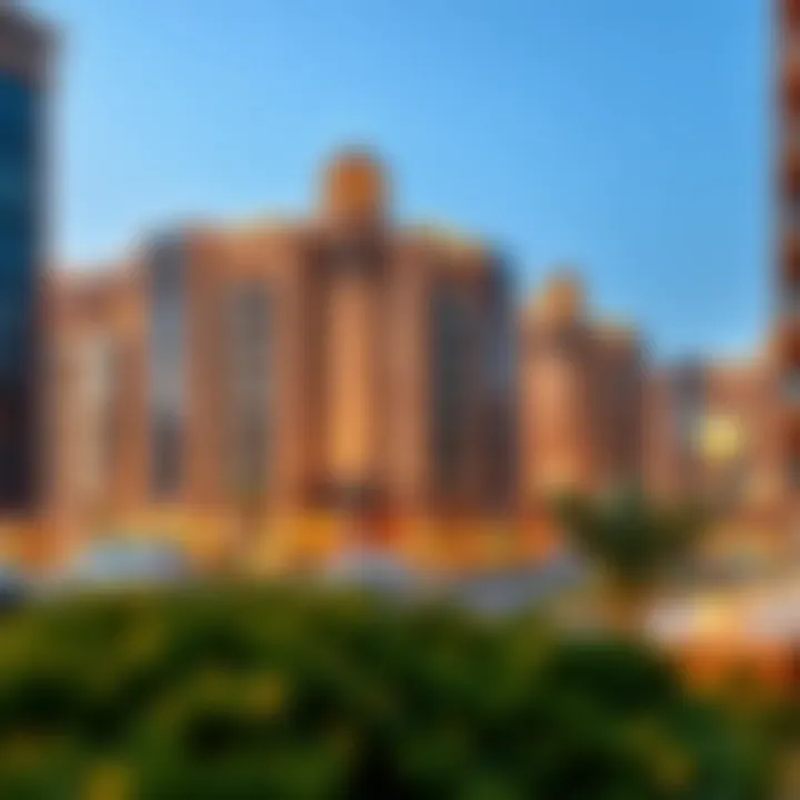 Notable Comprehensive Overview of Al Rayyan Complex: A Critical Analysis