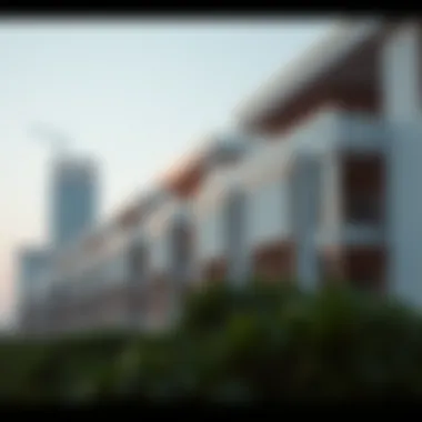 Dubai Real Estate and Currency Dynamics Dubai real estate market overview in relation to currency conversion