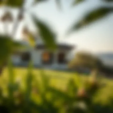 Scenic landscape highlighting the villa's integration with nature