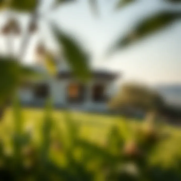 Scenic landscape highlighting the villa's integration with nature