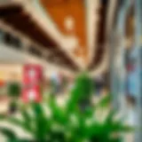 Exploring Carrefour Pavilion in Discovery Gardens: A Comprehensive Overview Introduction