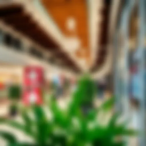 Exploring Carrefour Pavilion in Discovery Gardens: A Comprehensive Overview Introduction
