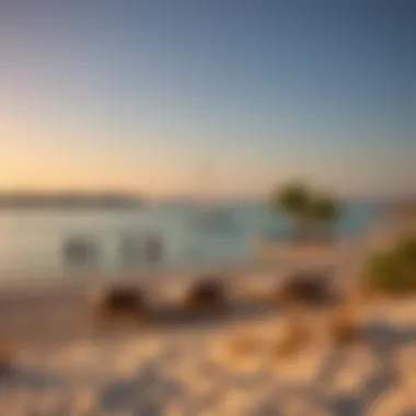 Notable Exploring Cove Beach on Reem Island: A Deep Dive