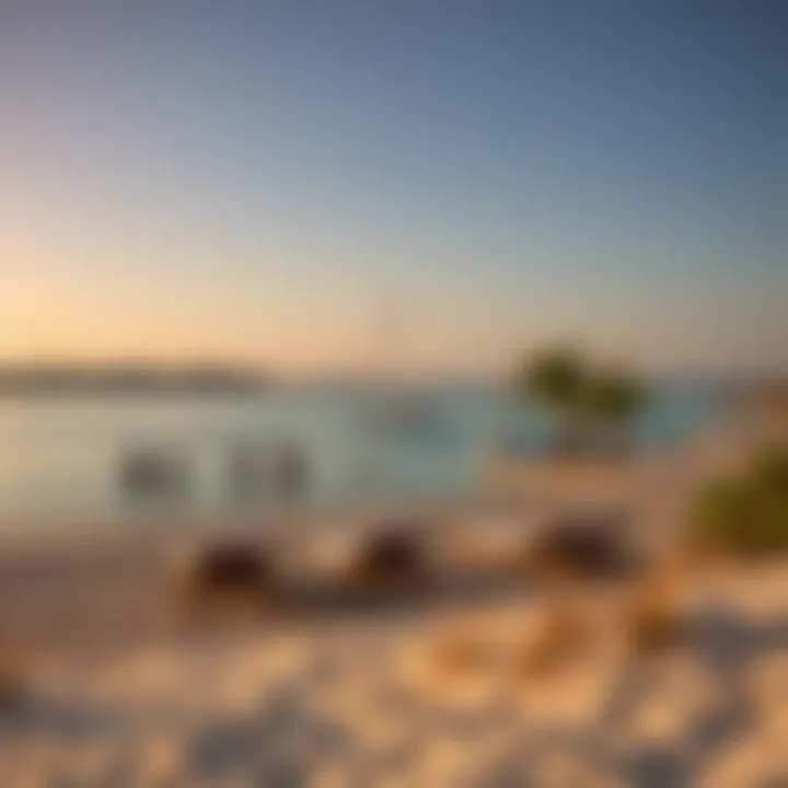 Notable Exploring Cove Beach on Reem Island: A Deep Dive