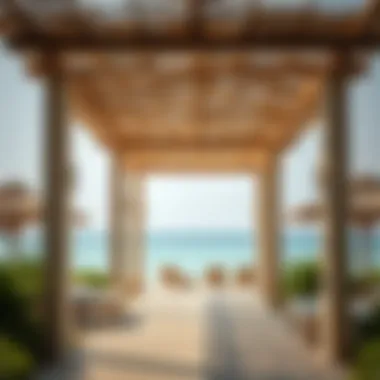 Exploring Cove Beach on Reem Island: A Deep Dive Summary