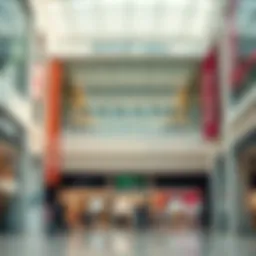 Exploring Dubai Outlet Mall: A Comprehensive Look at Stores and Experience Introduction