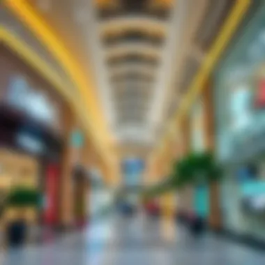 Notable Exploring Dubai Outlet Mall: A Comprehensive Look at Stores and Experience