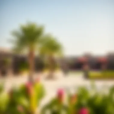 Community Spaces in Emaar Developments Vibrant community spaces in Emaar's new developments