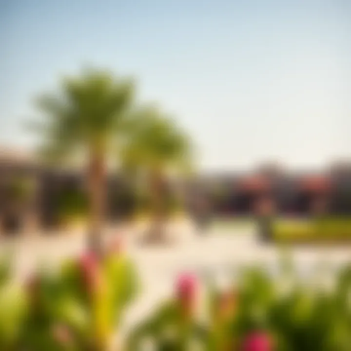 Community Spaces in Emaar Developments Vibrant community spaces in Emaar's new developments