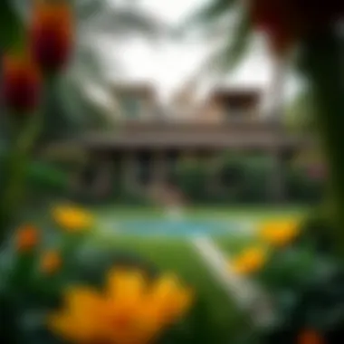 Picturesque Garden of a Dubai Farmhouse A picturesque garden surrounding a Dubai farmhouse with local flora