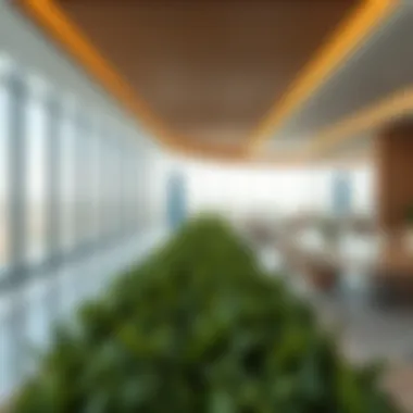 Exploring Imtiyaz Developers in Dubai's Real Estate Market Summary