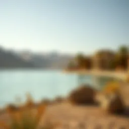 Exploring Lake Qudra: A Hidden Gem in Dubai Introduction