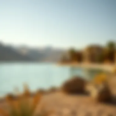 Exploring Lake Qudra: A Hidden Gem in Dubai Introduction