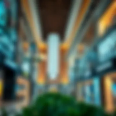 Luxurious shopping district featuring high-end brands