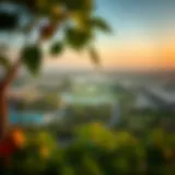 A panoramic view of حديقة صقر showcasing its lush greenery and recreational areas