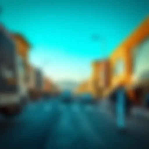 Exploring the Mina Market in Dubai: Opportunities and Insights Introduction