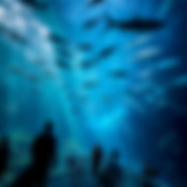 Notable Exploring the Underwater Zoo at Dubai Mall: A Unique Aquatic Experience