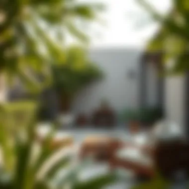 Serene Outdoor Spaces in Dubai Serene outdoor space with greenery and tranquility