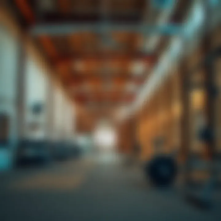 Exploring Warehouse Gym in Jumeirah Park: A Comprehensive Review Summary
