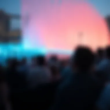 Crowd enjoying the fountain show