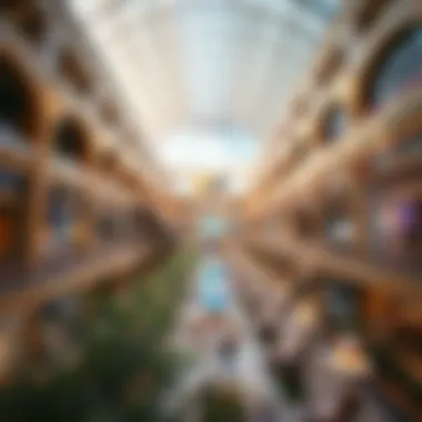 حياة الرفاهية في راحة مول: استكشاف الأبعاد الغنية Summary حياة الرفاهية في راحة مول: استكشاف الأبعاد الغنية Summary