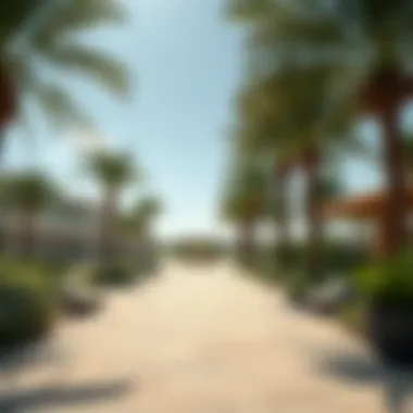 Lifestyle amenities available in Dubai Sports City