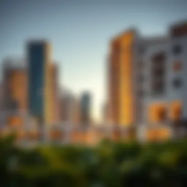 The Role of Provident Real Estate Photos in Dubai's Property Market Summary The Role of Provident Real Estate Photos in Dubai's Property Market Summary
