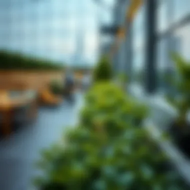 Lush Greenery in Urban Spaces Close-up of lush greenery thriving in a Sky Garden