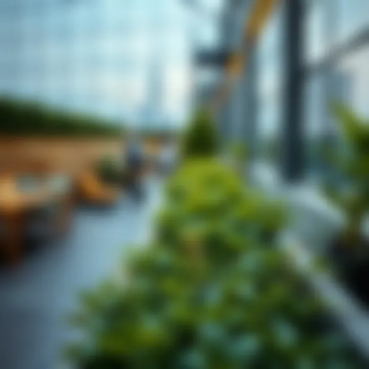 Lush Greenery in Urban Spaces Close-up of lush greenery thriving in a Sky Garden