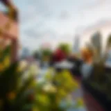 A stunning rooftop garden showcasing vibrant plant life
