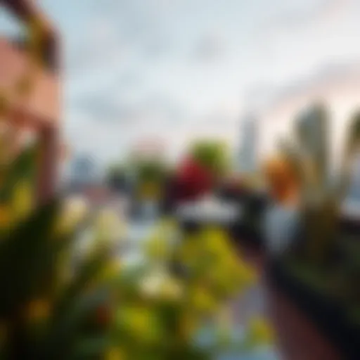 A stunning rooftop garden showcasing vibrant plant life